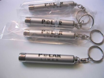 polar limes logo projector flashlight keychain